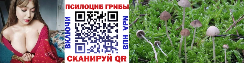 где можно купить наркотик  Алдан  Псилоцибиновые грибы мицелий 